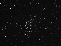 m36 3-19-04-020